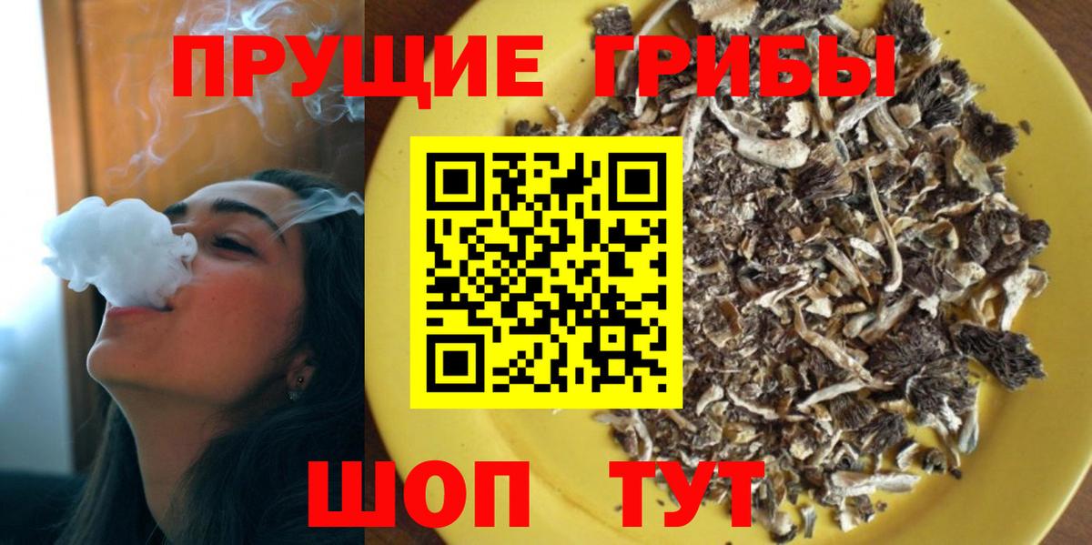 Нижний Новгород  Галлюциногенные грибы Psilocybe  Вход с VPN 